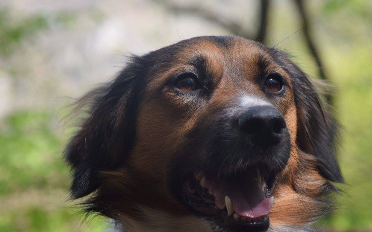 Pomohli jste Arískovi v boji s rakovinou