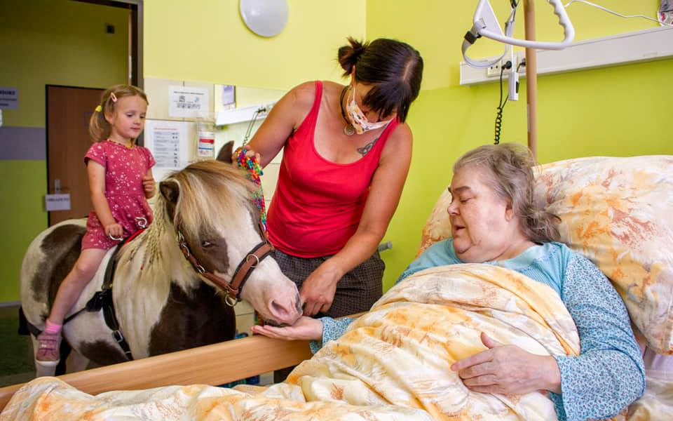 Casperovi, pony terapeutovi, na nový výběh