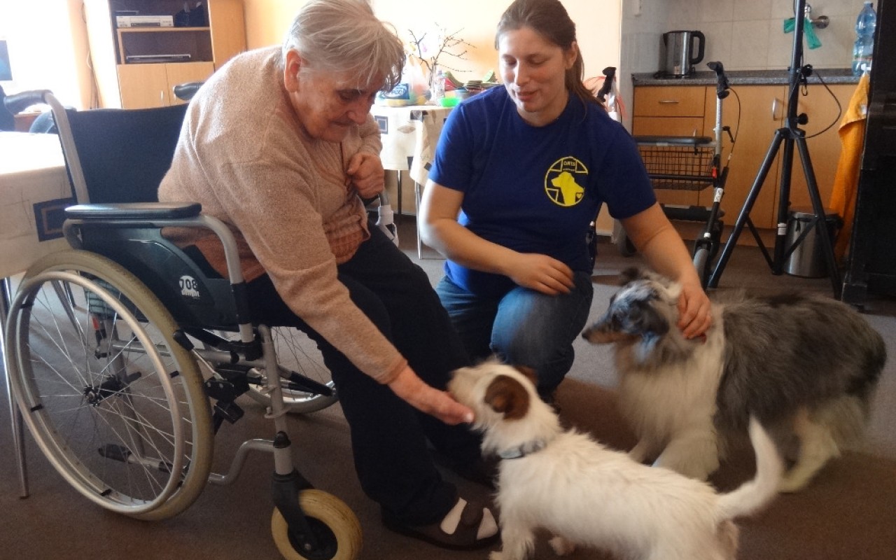 Canisterapie CANTES v krajích ČR jako sociální rehabilitace