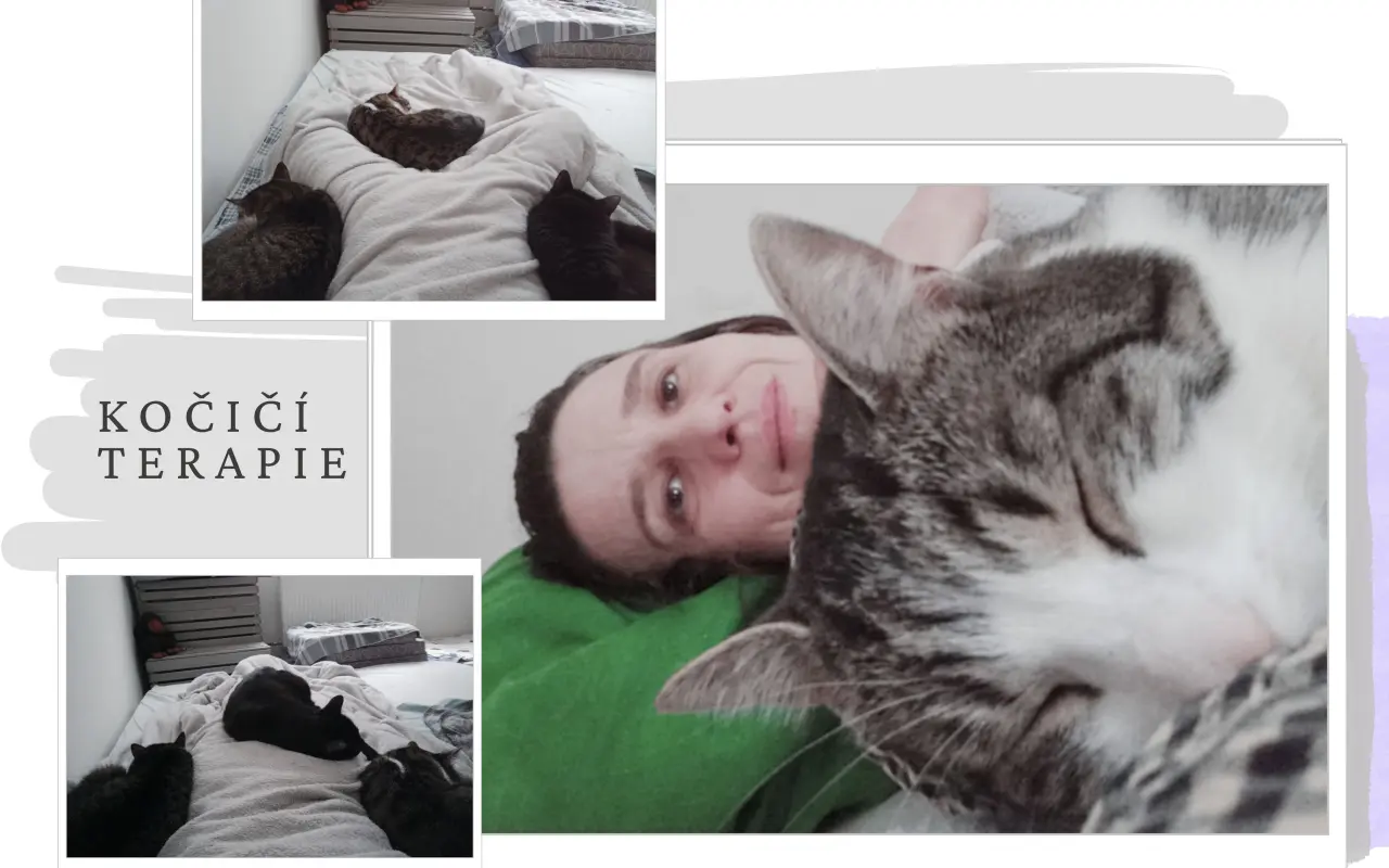Podpořili jste Radku na cestě k novému životu