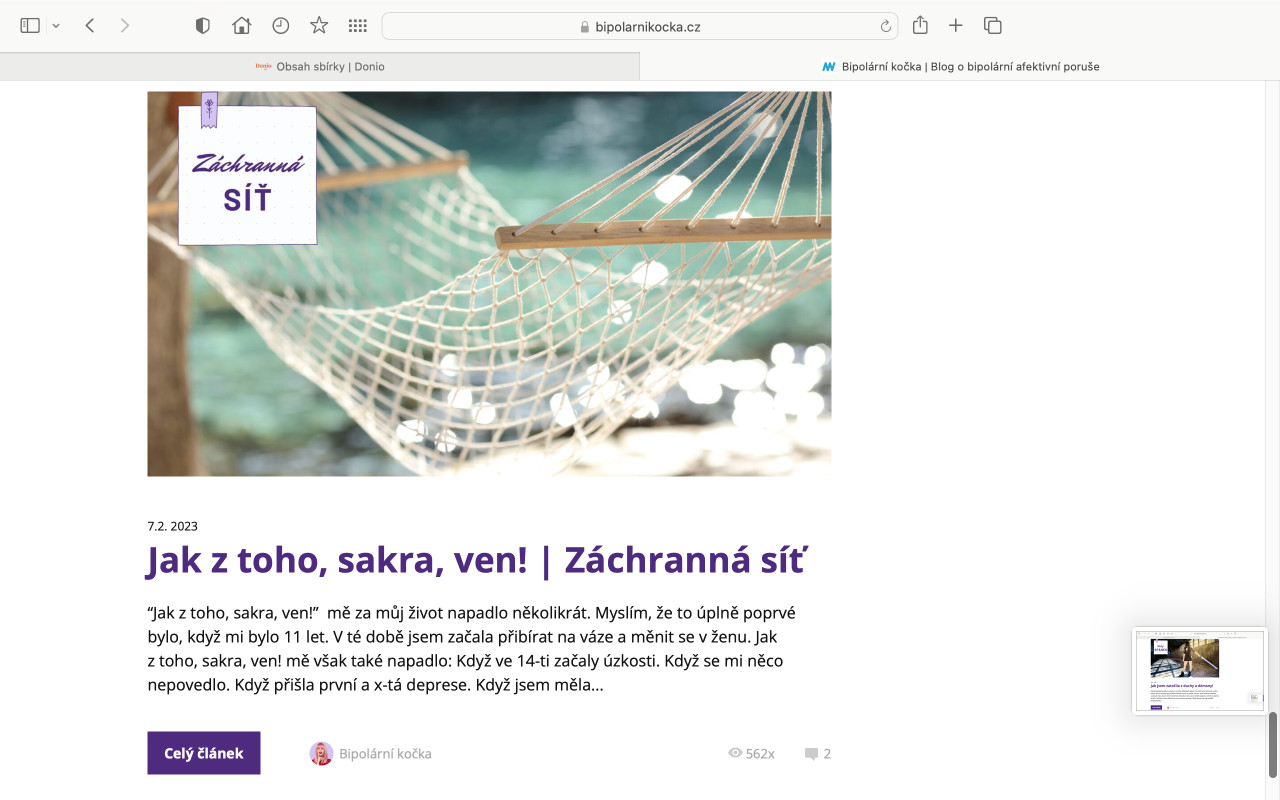 Podpořme blog Bipolární kočka - pomoc nemocným s maniodepresí