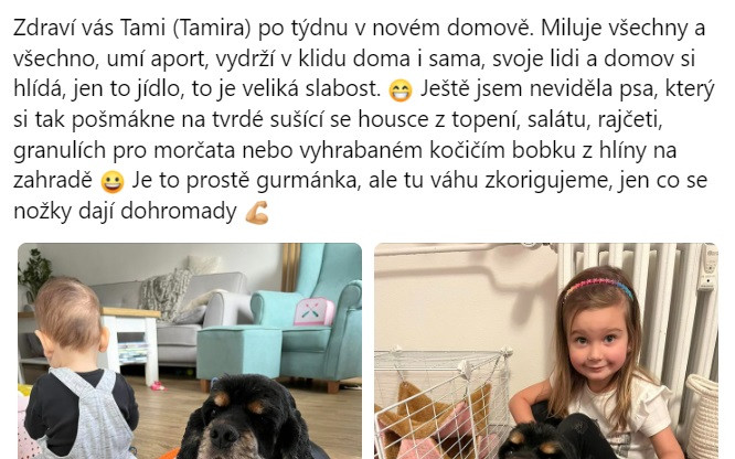 Pomohli jste Tamirce k bezbolestnému pohybu