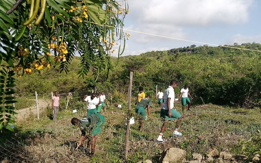 Wasamo girls secondary school