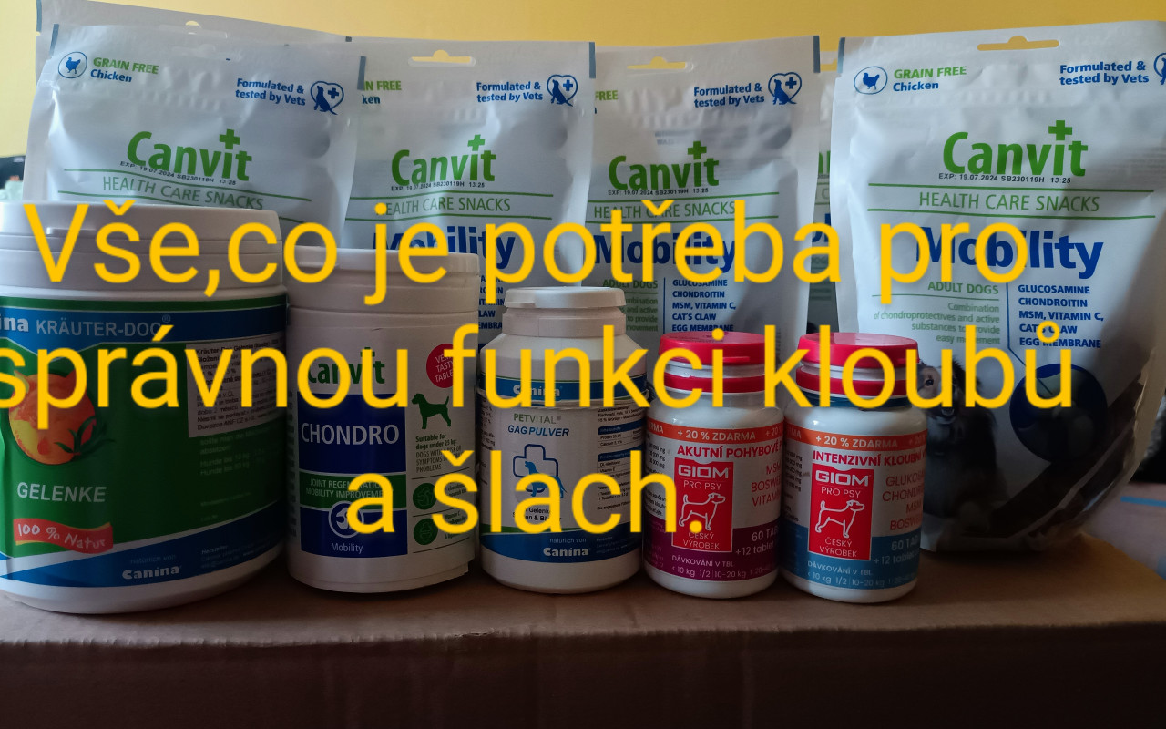 Bez bolesti pro Fanouška