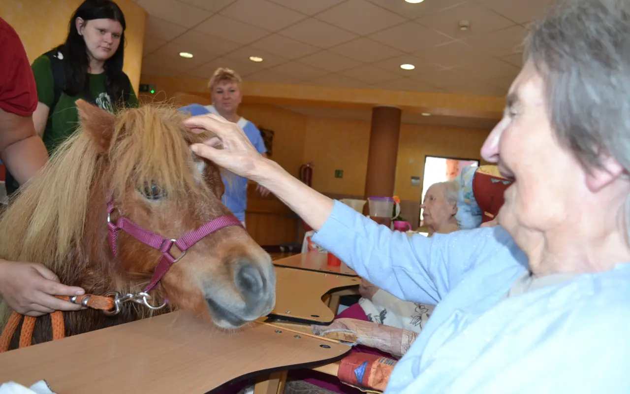 Úsměv těm, kteří jej potřebují - kontaktní terapie a hiporehabilitace