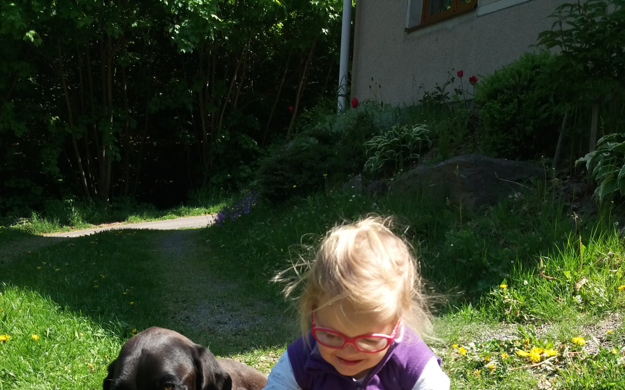 Pomohli jste podpořit léčbu fenky Čoky