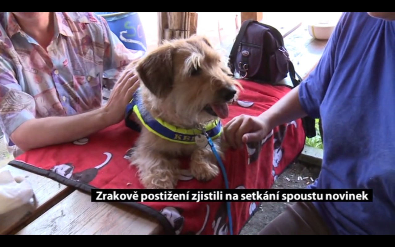 Canisterapie CANTES v krajích ČR jako sociální rehabilitace