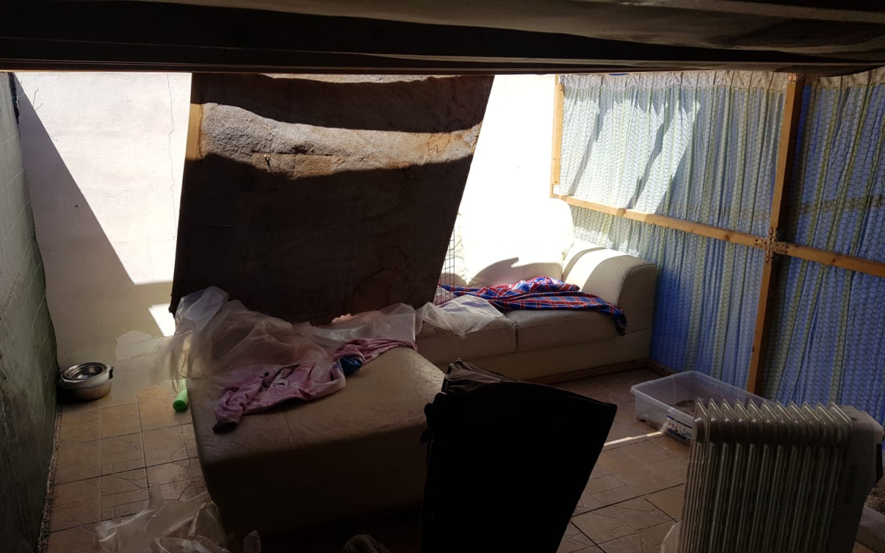 Složili jste se na opravu kočičího domova po bouři