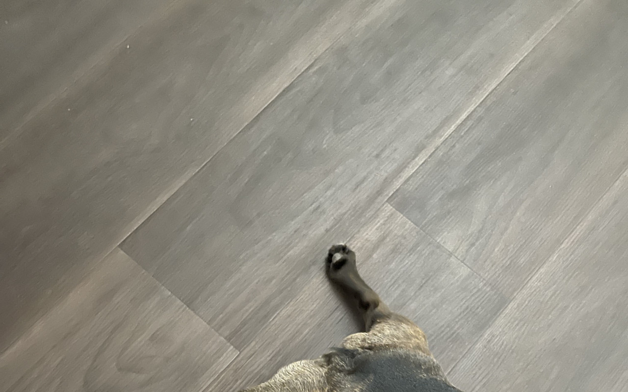 Pomoc Kristýnce, která má problémy chodit