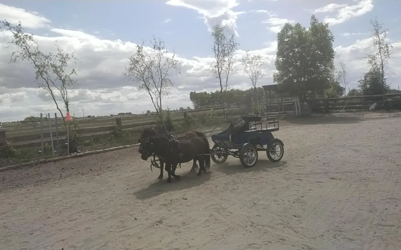 Kočár pro jezdecký oddíl