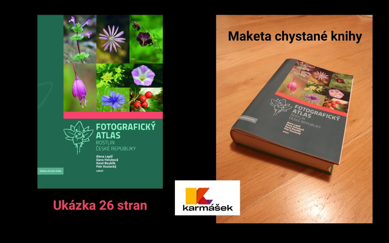 Fotografie všech českých rostlin v jedné KNIZE? Pojďme to dotáhnout!