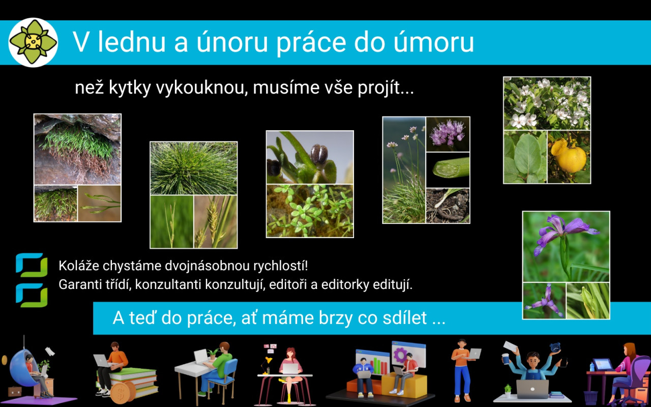 Fotografie všech českých rostlin v jedné KNIZE? Pojďme to dotáhnout!