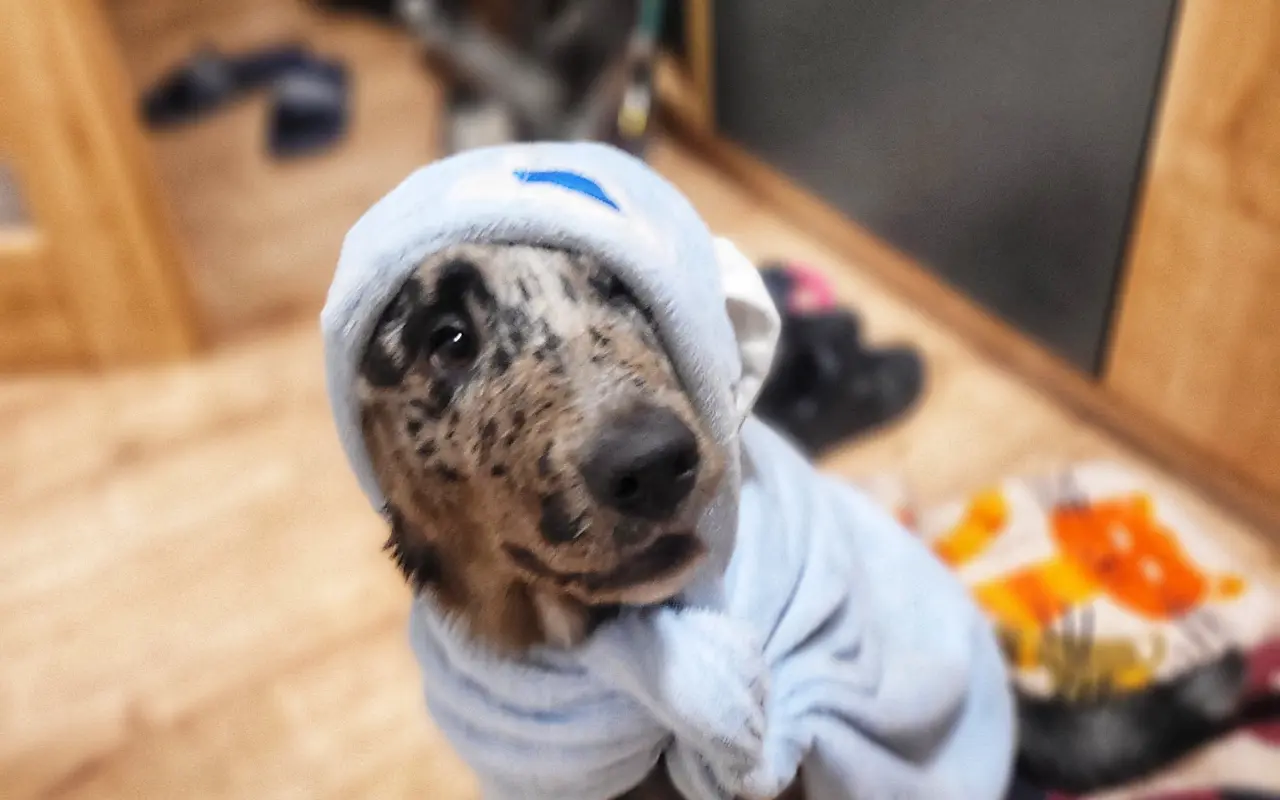 Pomoc pro Rozárku ❤️