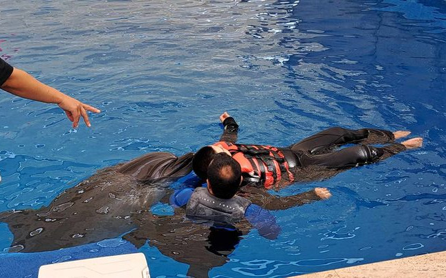 Naděje pro Zdenečka - delfinoterapie, neurorehabilitace