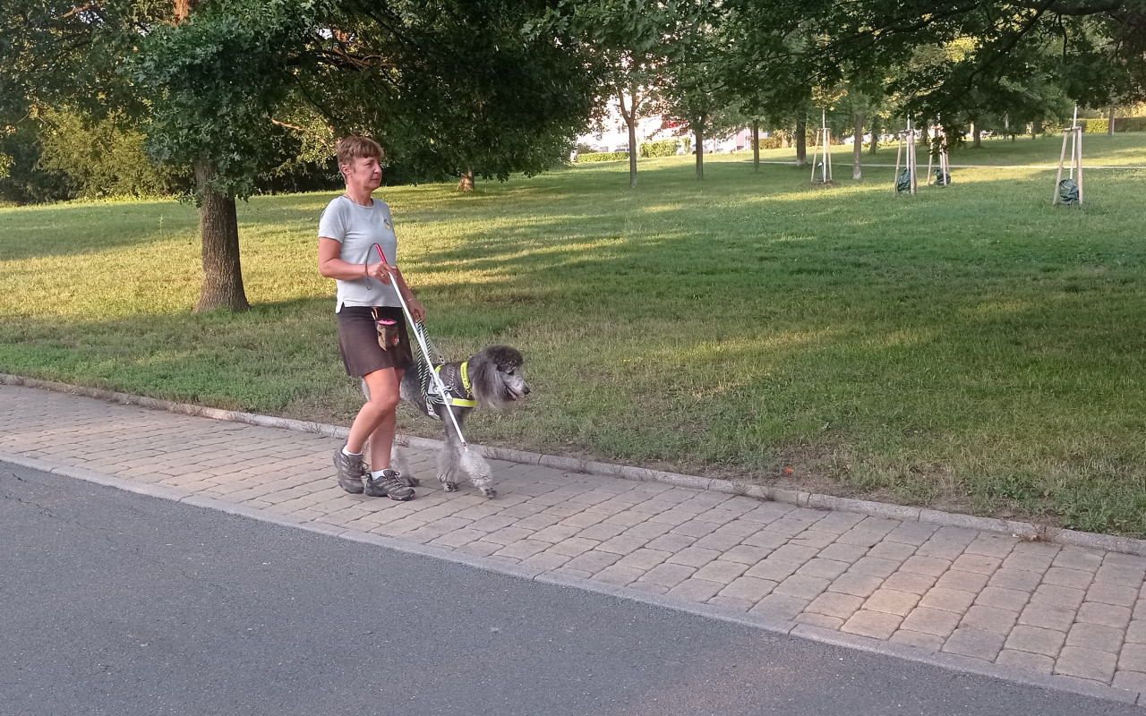 Pomohli jste přispět na vodící fenečku jménem Happy