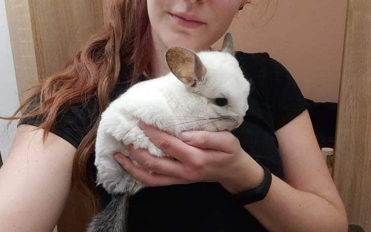 Karanténa pro ušáky