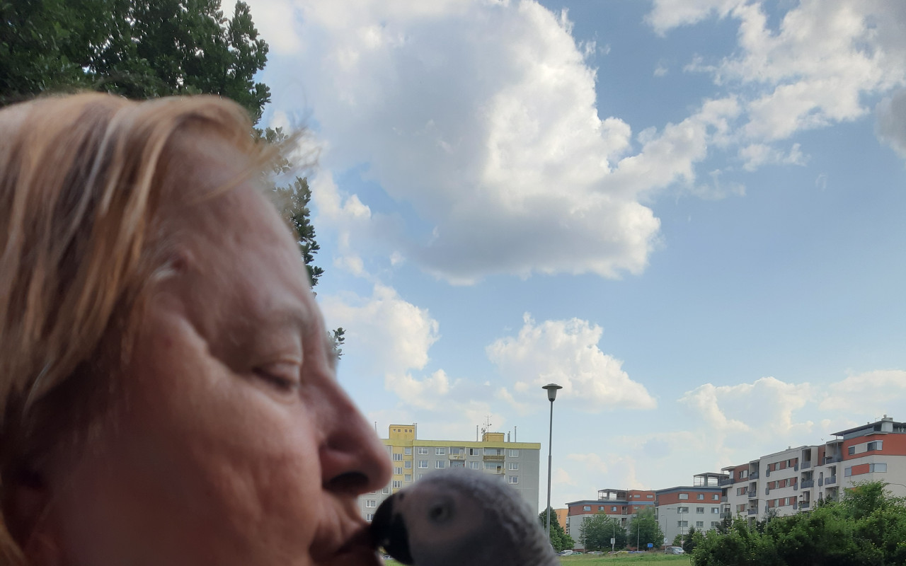 Invalidní vozíček pro maminku