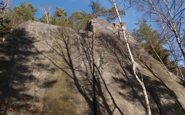 Svobodu lesu