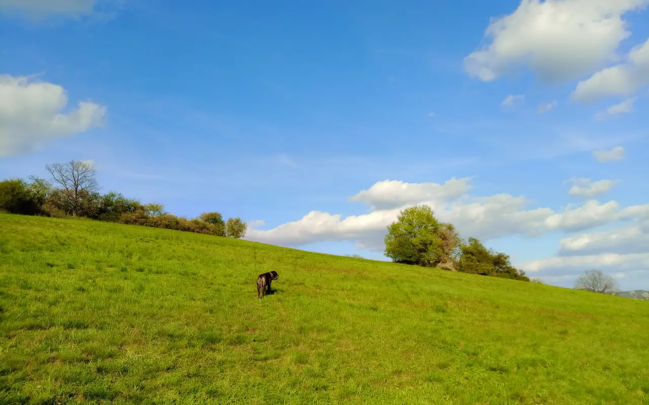 Podpořili jste Radku na cestě k novému životu