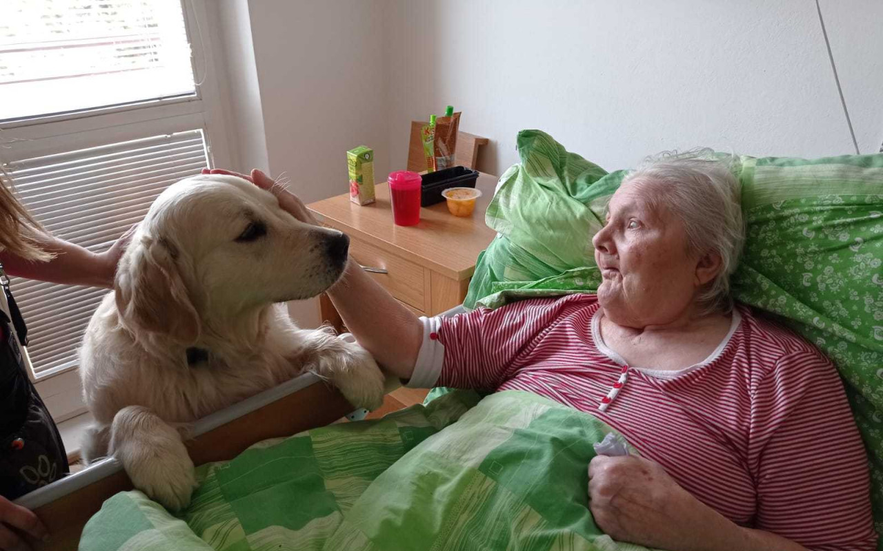 Zooterapie Staré Město u Uherského Hradiště