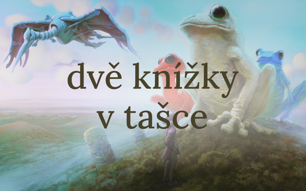 Vydáváme Divnou knížku