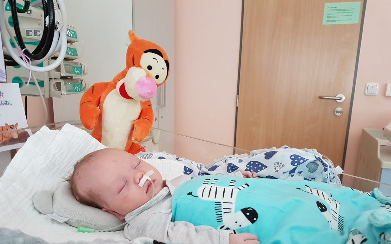 Dodali jste Davídkovi naději na lepší zítřky