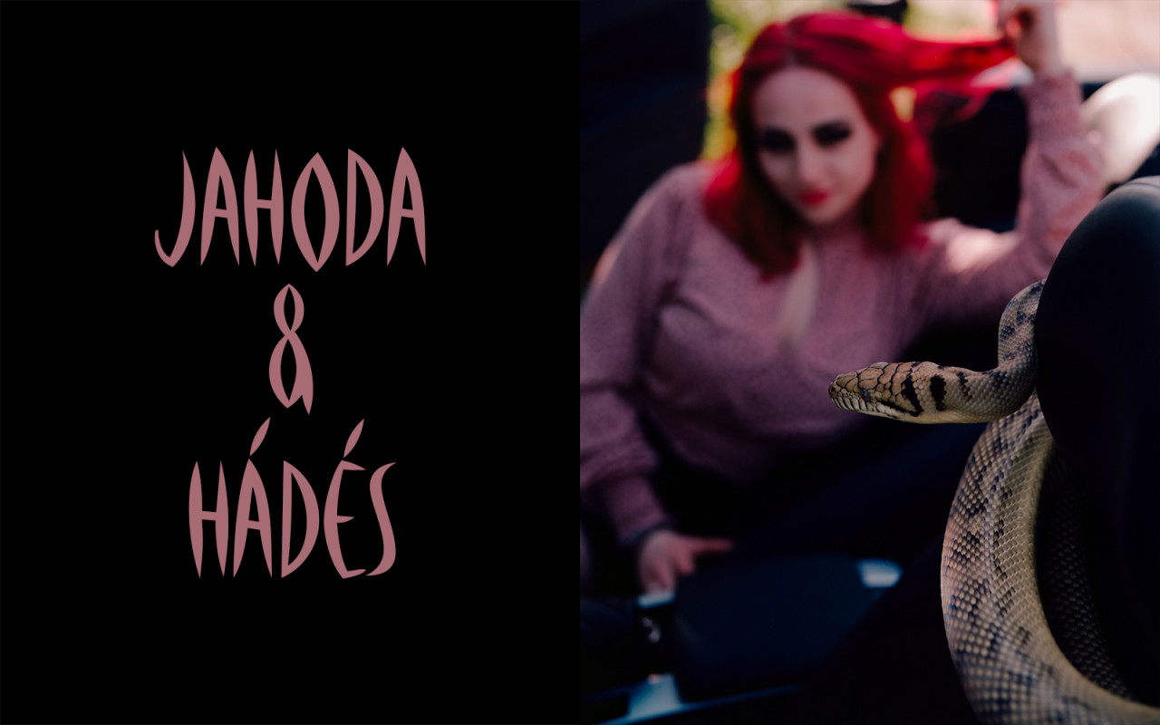 Hadi v krajkách (studentský film)
