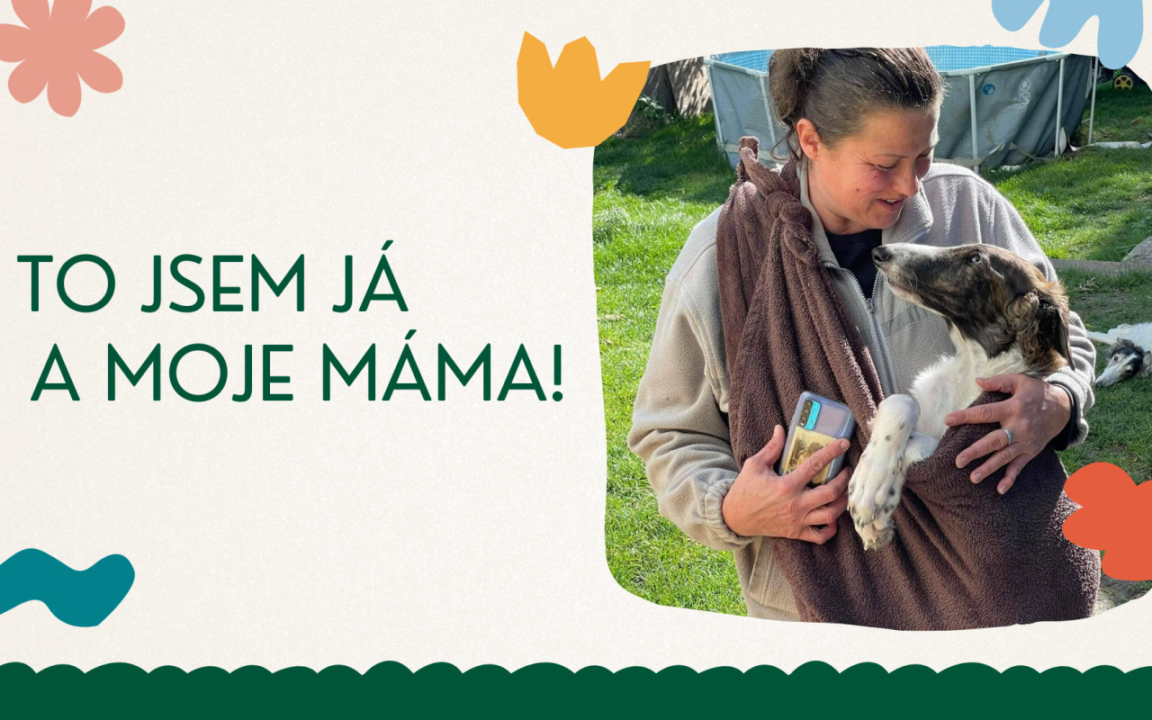 Pomohli jste Brilliantovi k lepšímu životu
