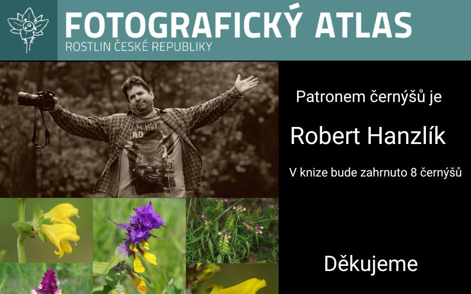 Fotografie všech českých rostlin v jedné KNIZE? Pojďme to dotáhnout!