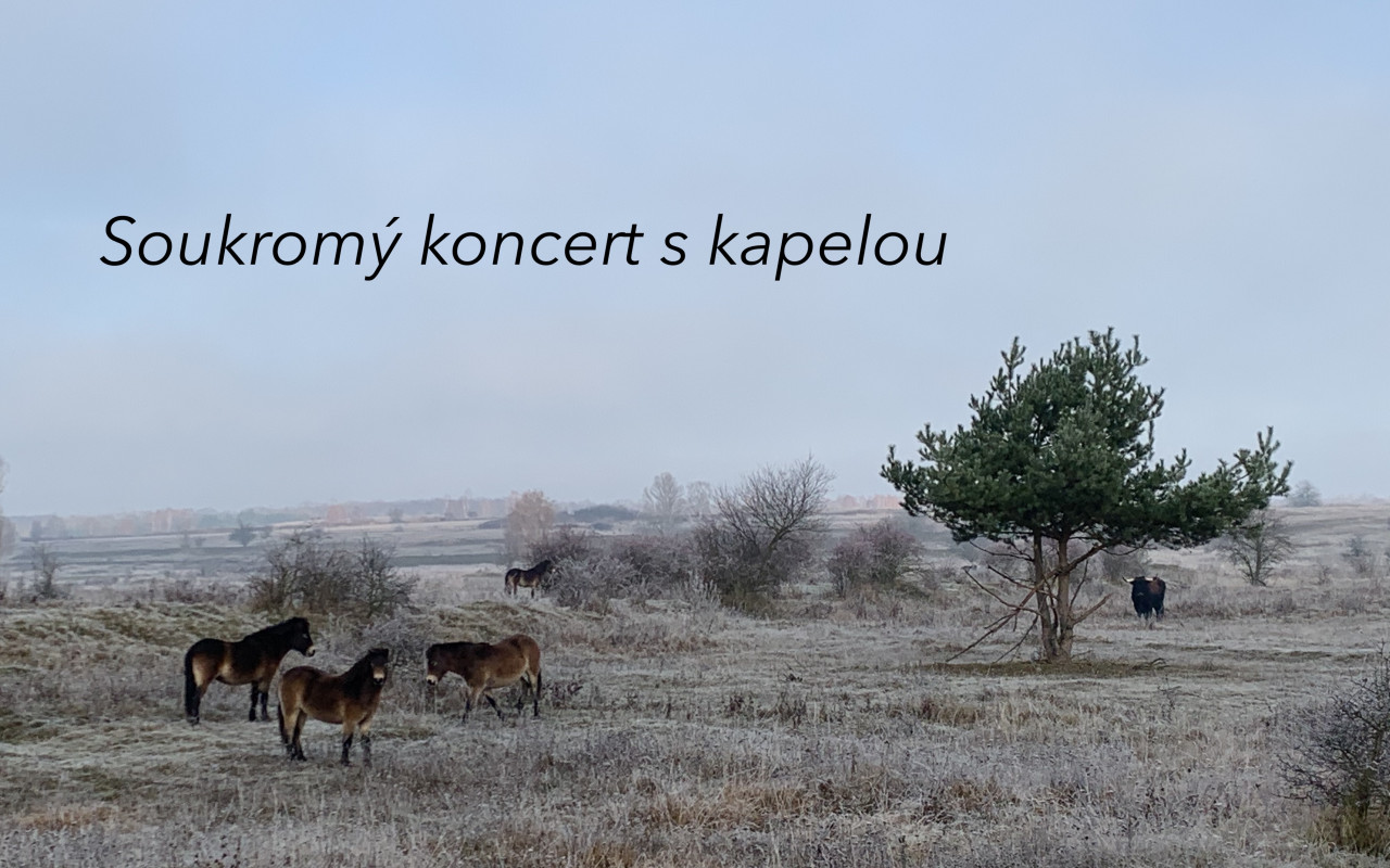 Podpořte první videoklip, “pražské Američanky ze Slovenska”, zpěvačky Ešli!