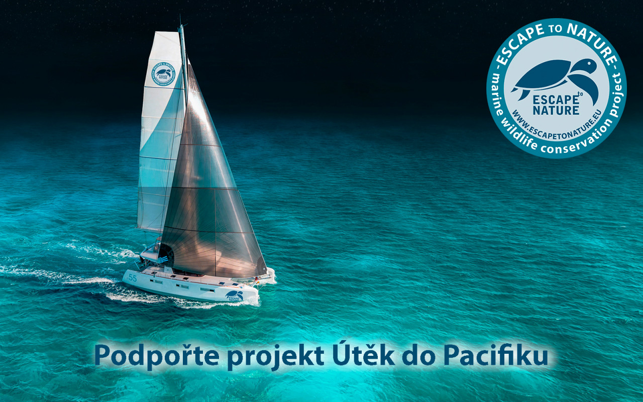Útěk do Pacifiku - Papua Nová Guinea