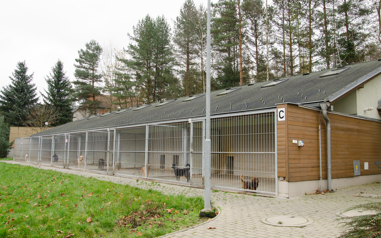 Zlínský útulek potřeboval peníze na opravu zařízení