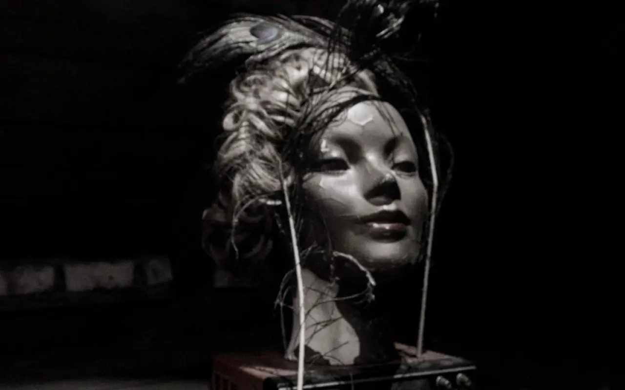 cover image