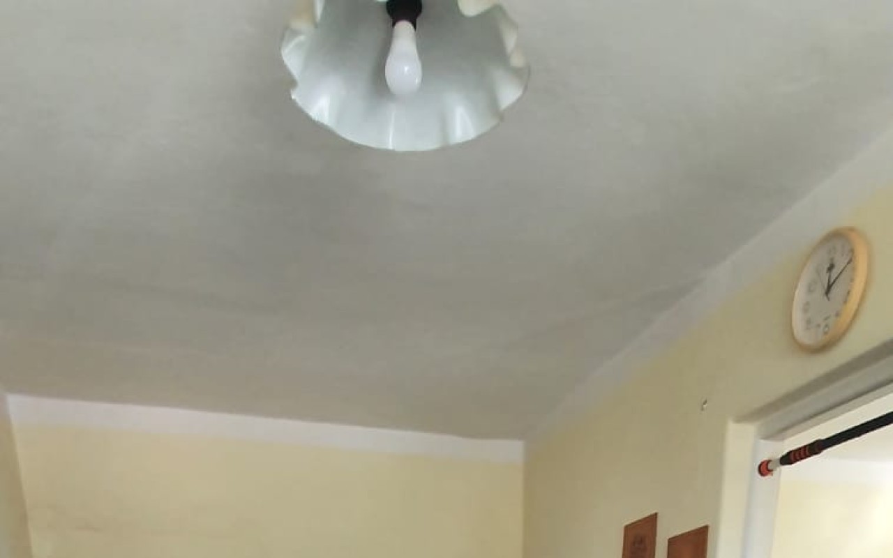 Pomohli jste na cestě zpátky domů