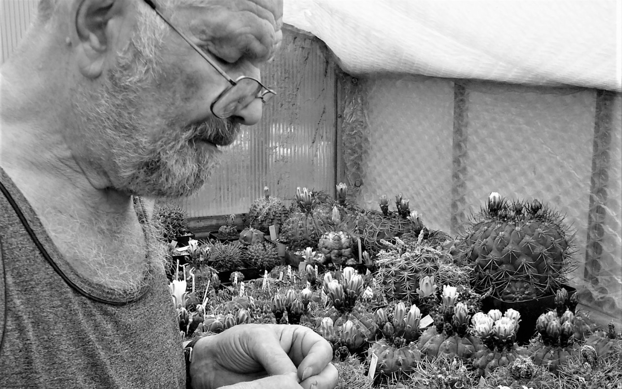 Pomozte zachránit unikátní botanickou zahradu před mrazem