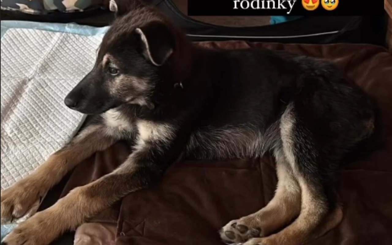 Podpořili jste FARMU HAPPY, aby mohla dále pomáhat