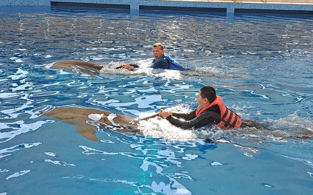 Naděje pro Zdenečka - delfinoterapie, neurorehabilitace