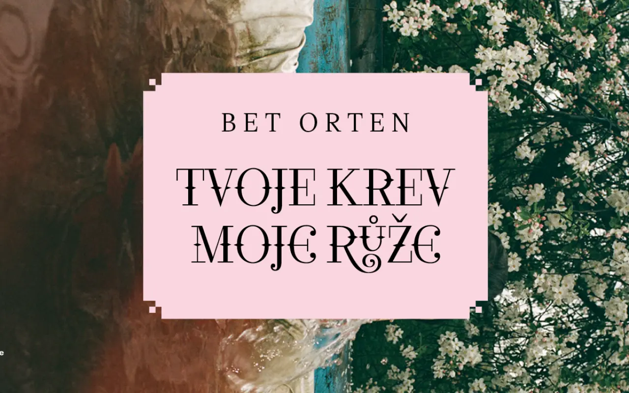 Podpořili jste výstavu Bet Orten – Tvoje krev / moje růže