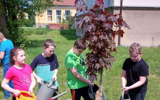 Pomohli jste koupit tabule pro děti s autismem