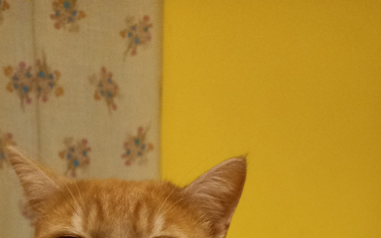 Pomoc pro Macíka
