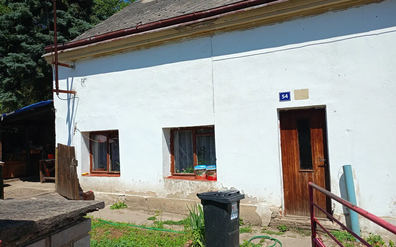 main photo image
