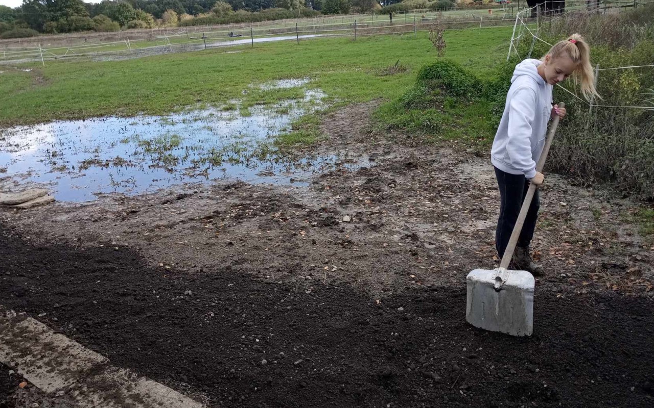 Pomohli jste dětem zpátky na ranč