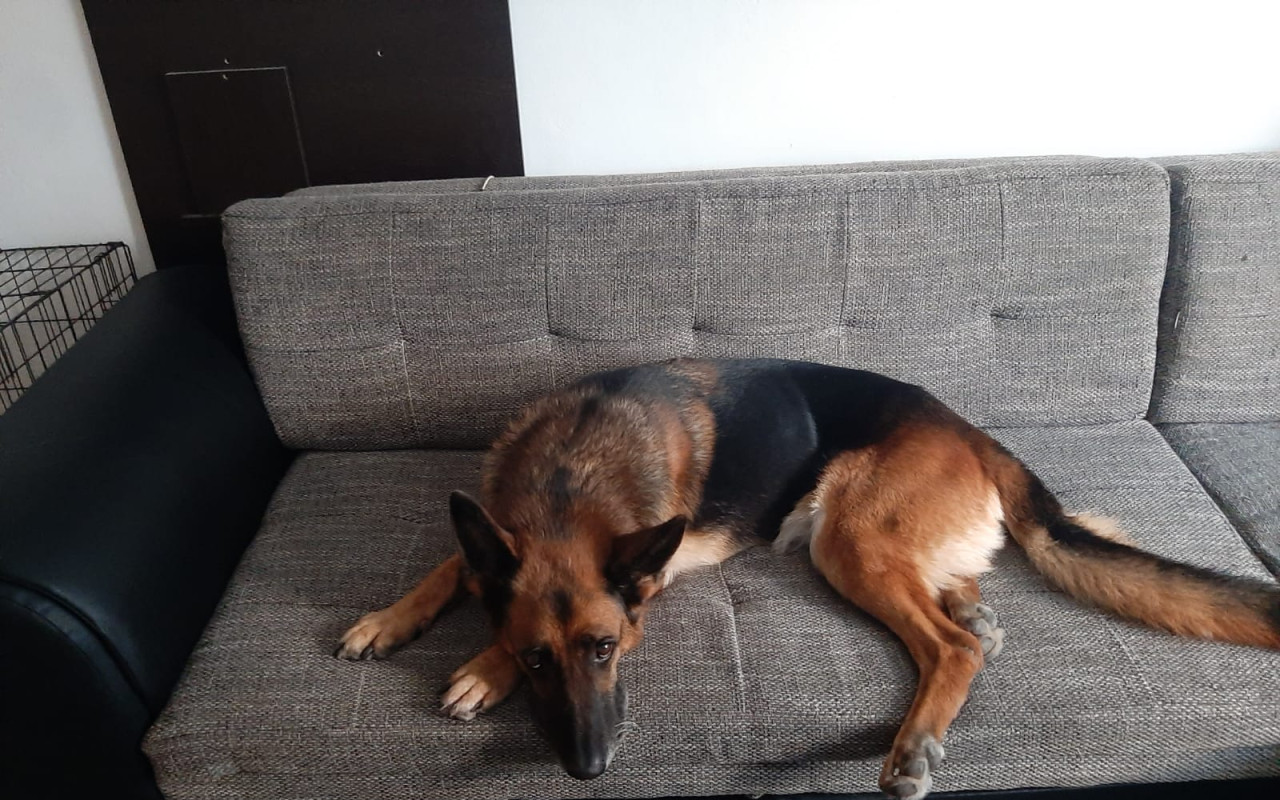 Pomohli jste Bessince na nohy