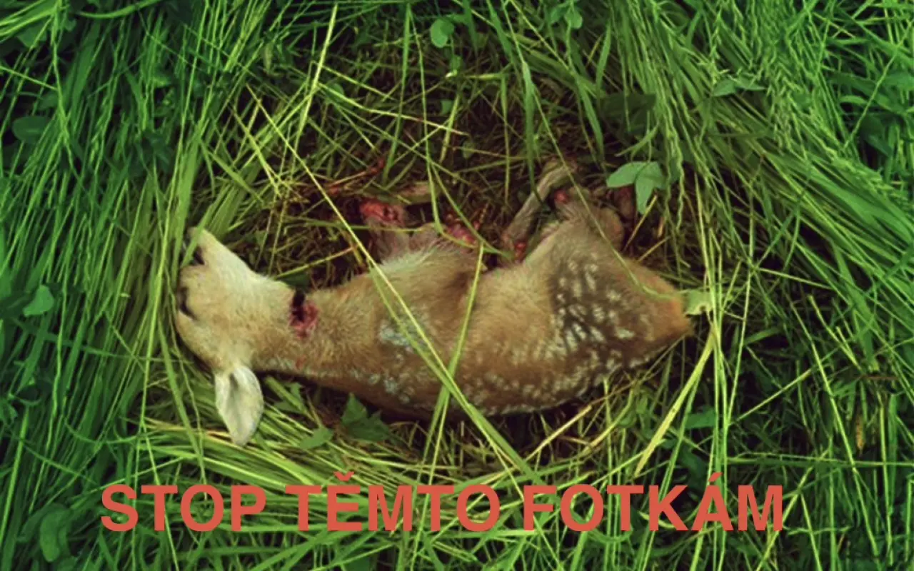 Pomoc srnčatům před smrtí pod sekačkami