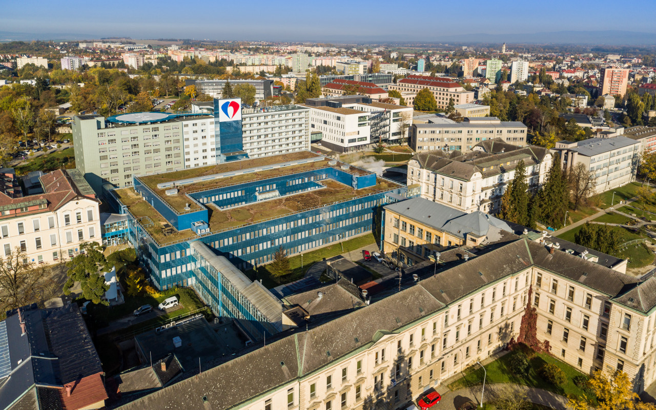 David Koller zahraje pro Fakultní nemocnici Olomouc #kulturažije
