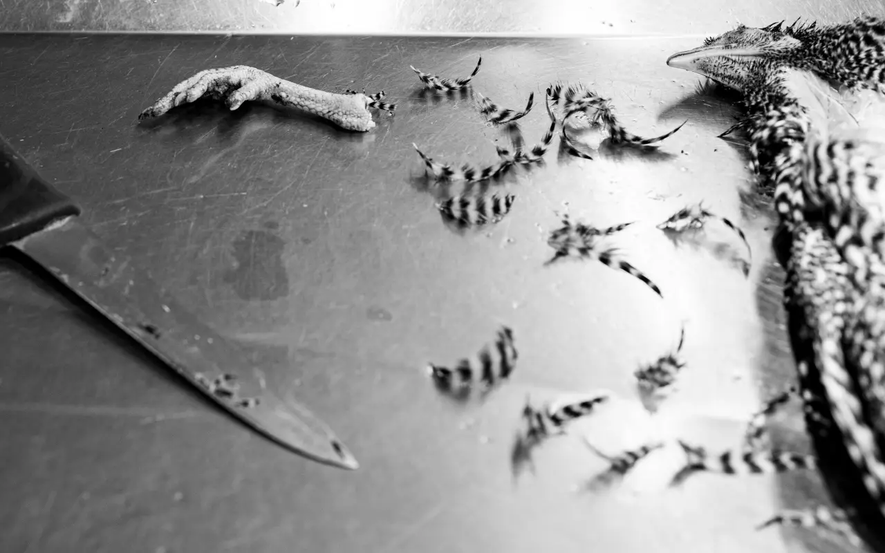 Podpořili jste knihu a výstavu VERUM PHOTO – ELEMENT