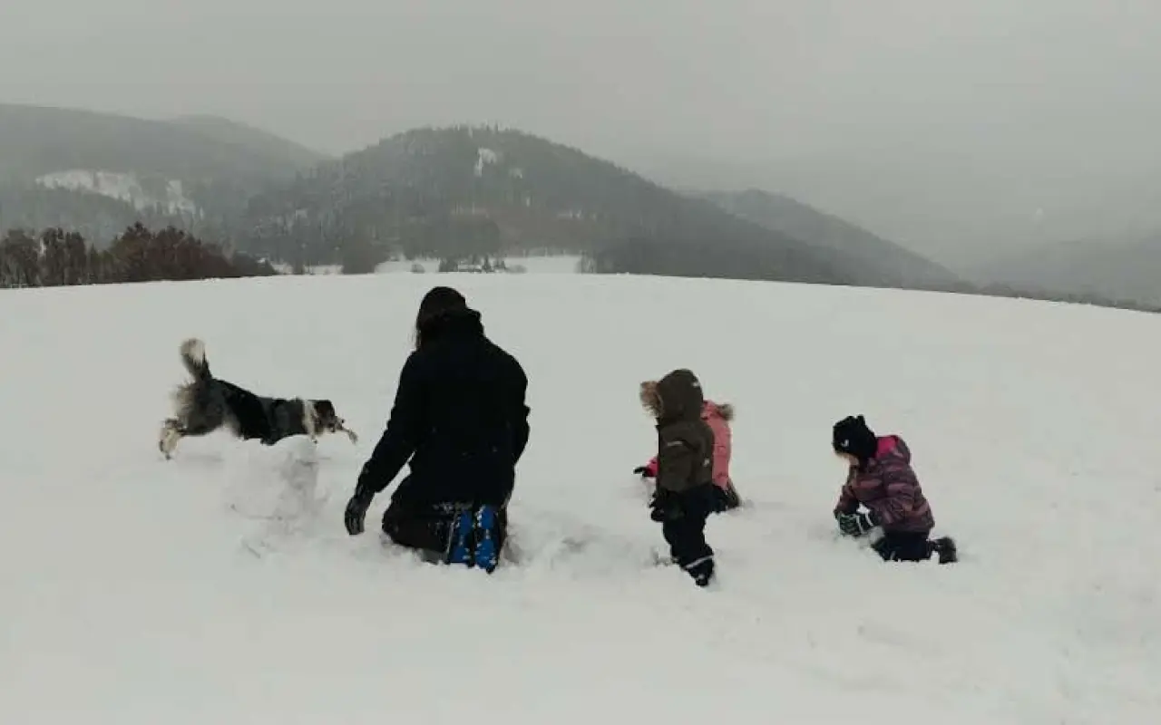 Podpořili jste veterinární péči a dietu pro Dixinku