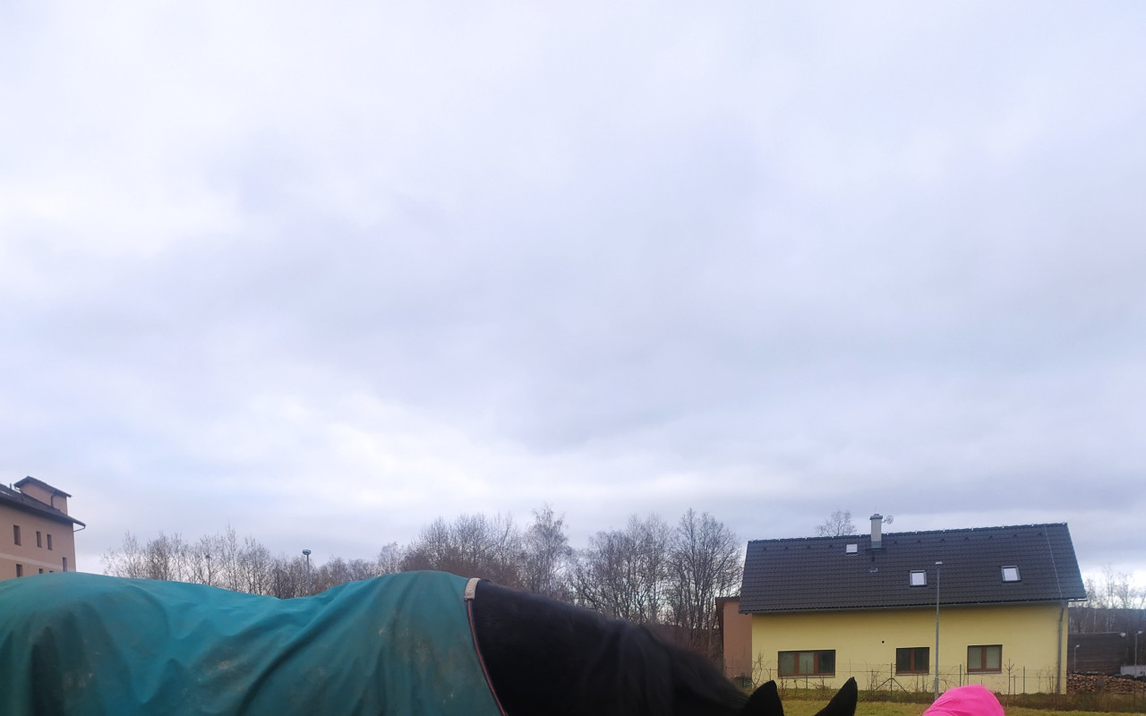 Piškotka ... Terapeut dětského srdíčka ❤️