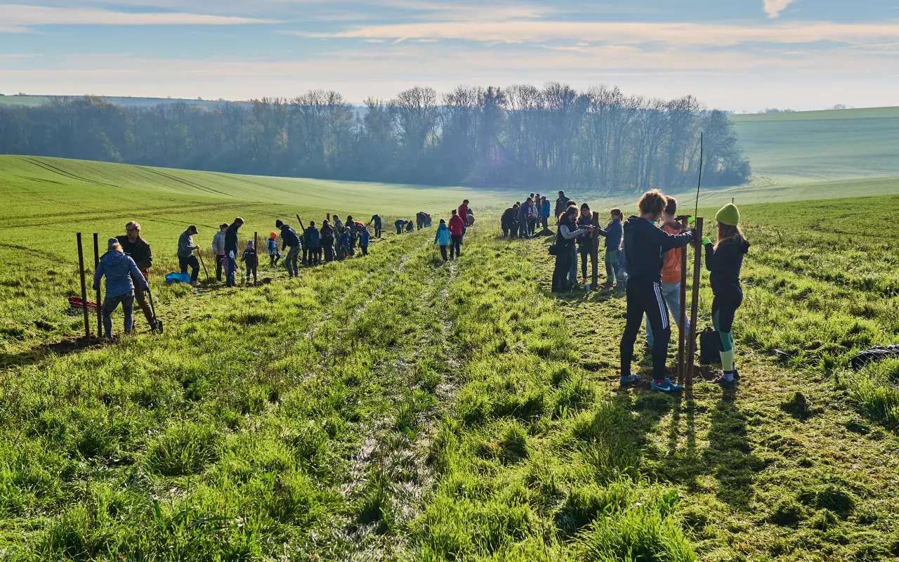 Pomohli jste proměnit pole v živý krajinný koridor na Pálavě