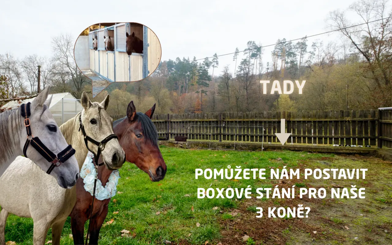 Pomohli jste postavit trojbox pro koně DORADO